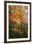 Orange Yellow Fall Vertical 9840-Robert Goldwitz-Framed Photographic Print