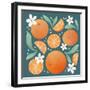 Orange Zest III-Gia Graham-Framed Art Print