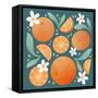 Orange Zest III-Gia Graham-Framed Stretched Canvas