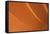 Orange-Karyn Millet-Framed Stretched Canvas