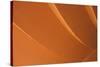 Orange-Karyn Millet-Stretched Canvas