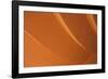 Orange-Karyn Millet-Framed Photographic Print