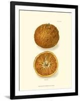 Orange-null-Framed Art Print