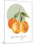 Orange-Carol Robinson-Mounted Art Print