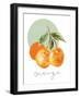Orange-Carol Robinson-Framed Art Print