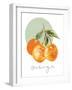 Orange-Carol Robinson-Framed Art Print