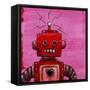 Orangebot-Craig Snodgrass-Framed Stretched Canvas