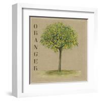 Oranger-M^E Merlin-Framed Art Print