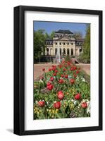 Orangery in the palace garden of Fulda, Hesse, Germany-null-Framed Art Print