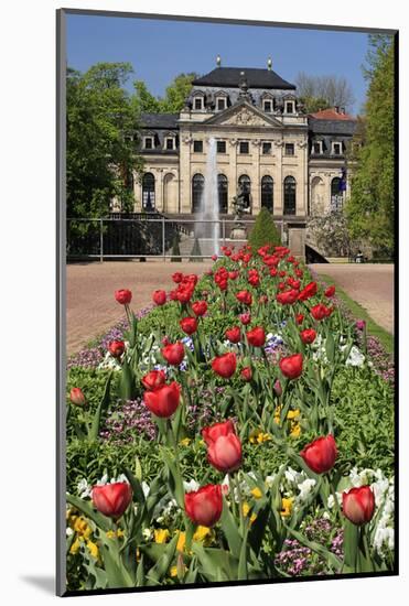 Orangery in the palace garden of Fulda, Hesse, Germany-null-Mounted Art Print