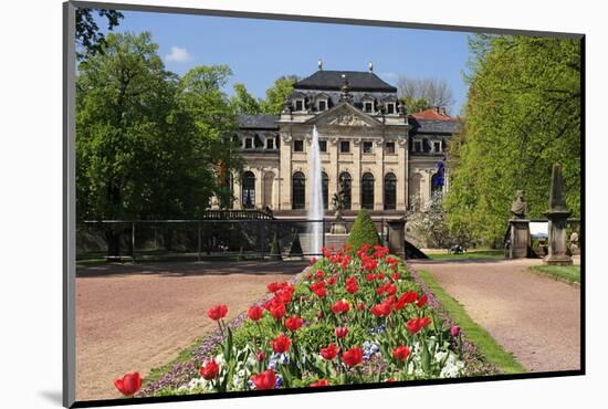 Orangery in the palace garden of Fulda, Hesse, Germany-null-Mounted Art Print