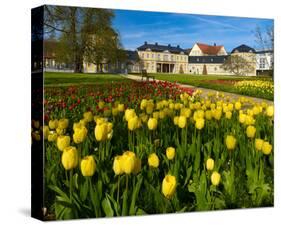 Orangery with Tulip Beds, Gera, Thuringia, Germany-null-Stretched Canvas