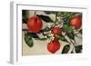 Oranges, 1908-null-Framed Giclee Print