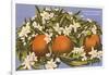 Oranges and Blossoms, Florida-null-Framed Art Print