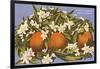 Oranges and Blossoms, Florida-null-Framed Art Print