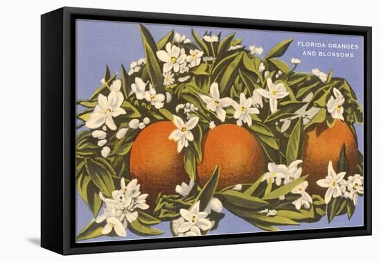 Oranges and Blossoms, Florida-null-Framed Stretched Canvas
