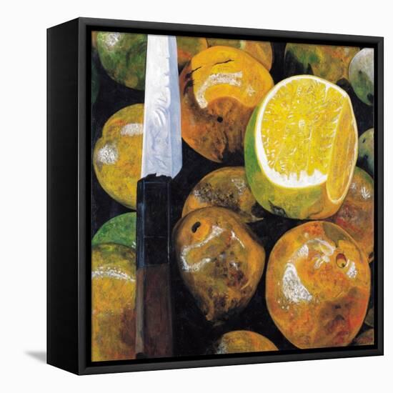 Oranges and Knife, 2003-Pedro Diego Alvarado-Framed Stretched Canvas