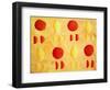 Oranges and Lemons, 2003-Julie Nicholls-Framed Giclee Print