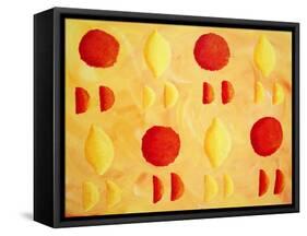 Oranges and Lemons, 2003-Julie Nicholls-Framed Stretched Canvas