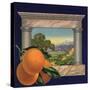 Oranges and Orchard - Citrus Crate Label-Lantern Press-Stretched Canvas