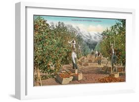 Oranges and Snowfields-null-Framed Art Print