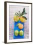 Oranges, Clementine and Limes on Blue Cloth (Overhead View)-Foodcollection-Framed Photographic Print