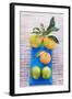 Oranges, Clementine and Limes on Blue Cloth (Overhead View)-Foodcollection-Framed Photographic Print