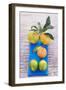 Oranges, Clementine and Limes on Blue Cloth (Overhead View)-Foodcollection-Framed Photographic Print