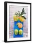 Oranges, Clementine and Limes on Blue Cloth (Overhead View)-Foodcollection-Framed Photographic Print