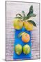 Oranges, Clementine and Limes on Blue Cloth (Overhead View)-Foodcollection-Mounted Photographic Print