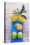 Oranges, Clementine and Limes on Blue Cloth (Overhead View)-Foodcollection-Stretched Canvas