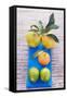 Oranges, Clementine and Limes on Blue Cloth (Overhead View)-Foodcollection-Framed Stretched Canvas