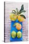 Oranges, Clementine and Limes on Blue Cloth (Overhead View)-Foodcollection-Stretched Canvas
