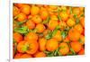 Oranges displayed in market in Shepherd's Bush, London, U.K.-Richard Wright-Framed Photographic Print