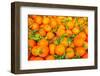 Oranges displayed in market in Shepherd's Bush, London, U.K.-Richard Wright-Framed Photographic Print