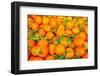 Oranges displayed in market in Shepherd's Bush, London, U.K.-Richard Wright-Framed Photographic Print