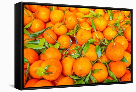 Oranges displayed in market in Shepherd's Bush, London, U.K.-Richard Wright-Framed Stretched Canvas