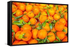 Oranges displayed in market in Shepherd's Bush, London, U.K.-Richard Wright-Framed Stretched Canvas