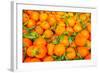 Oranges displayed in market in Shepherd's Bush, London, U.K.-Richard Wright-Framed Photographic Print