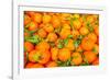 Oranges displayed in market in Shepherd's Bush, London, U.K.-Richard Wright-Framed Photographic Print