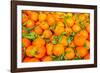 Oranges displayed in market in Shepherd's Bush, London, U.K.-Richard Wright-Framed Photographic Print