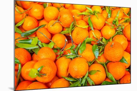 Oranges displayed in market in Shepherd's Bush, London, U.K.-Richard Wright-Mounted Photographic Print