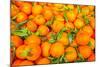 Oranges displayed in market in Shepherd's Bush, London, U.K.-Richard Wright-Mounted Photographic Print