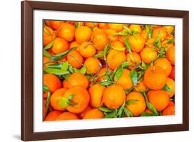 Oranges displayed in market in Shepherd's Bush, London, U.K.-Richard Wright-Framed Photographic Print