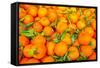 Oranges displayed in market in Shepherd's Bush, London, U.K.-Richard Wright-Framed Stretched Canvas