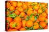 Oranges displayed in market in Shepherd's Bush, London, U.K.-Richard Wright-Stretched Canvas