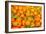 Oranges displayed in market in Shepherd's Bush, London, U.K.-Richard Wright-Framed Photographic Print