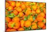Oranges displayed in market in Shepherd's Bush, London, U.K.-Richard Wright-Mounted Photographic Print