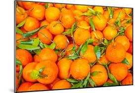 Oranges displayed in market in Shepherd's Bush, London, U.K.-Richard Wright-Mounted Photographic Print