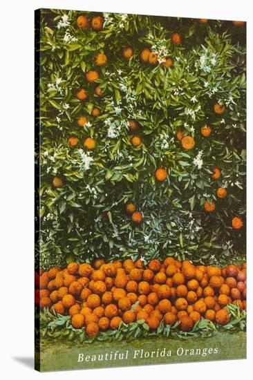 Oranges, Florida-null-Stretched Canvas